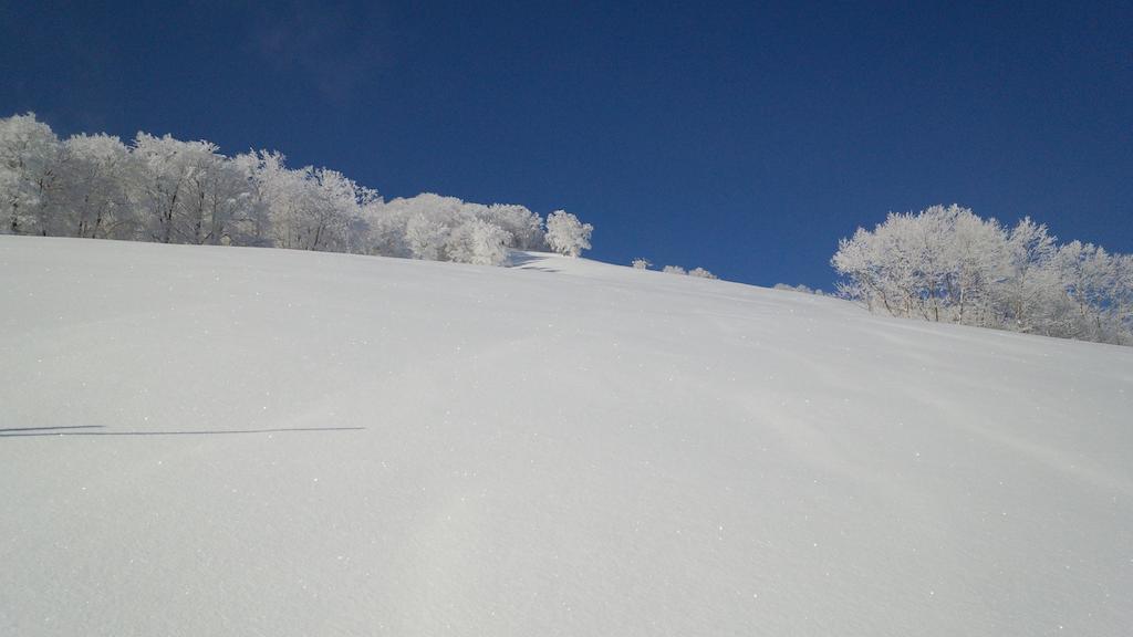 Alp Bach Madarao Villa Iiyama Buitenkant foto