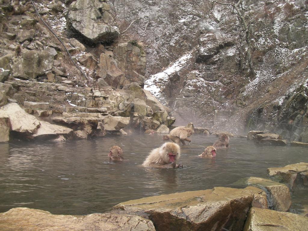 Alp Bach Madarao Villa Iiyama Buitenkant foto